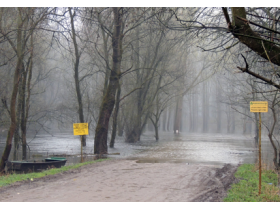 Sava i dalje u opadanju